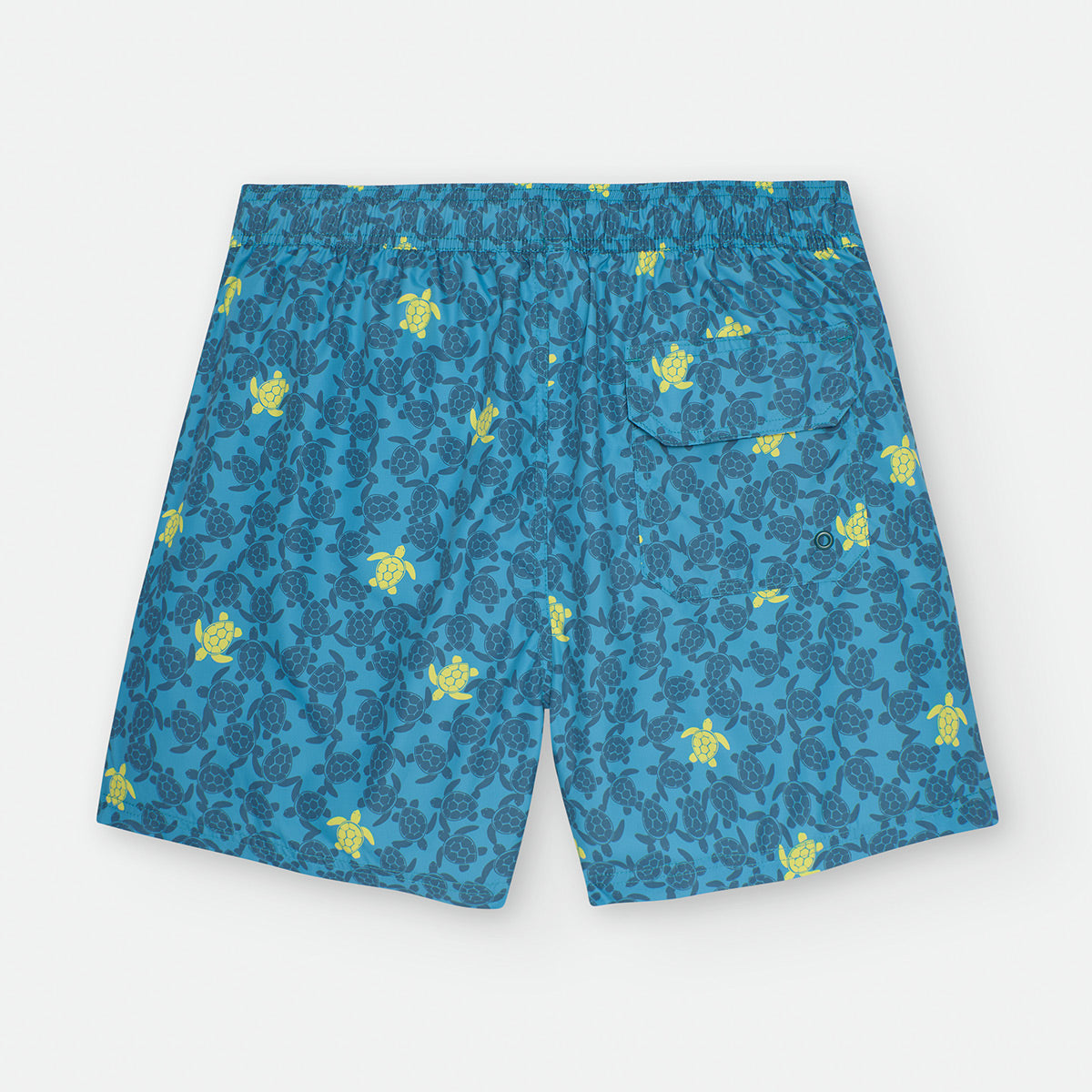 Bañador "Kids & Papi" Waterlemon Tortugas